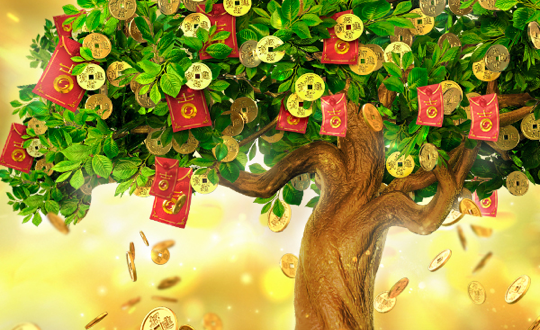 tree of fortune 2 web 2 jun 888 .com เว็บตรง สล็อต PG อันดับ 1 ฝากถอนออโต้ มั่นคง ปลอดภัย