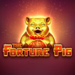 เจาะลึก Fortune Pig บน สล็อต xo เว็บตรง วิเคราะห์ RTP 96.5% และกลยุทธ์ทำเงินโดย Senior Strategist 4 Fortune Pig 9 web 9 jun 888 .com เว็บตรง สล็อต PG อันดับ 1 ฝากถอนออโต้ มั่นคง ปลอดภัย
